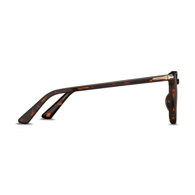 Vanguard